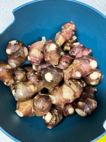 돼지감자 (따탕지)