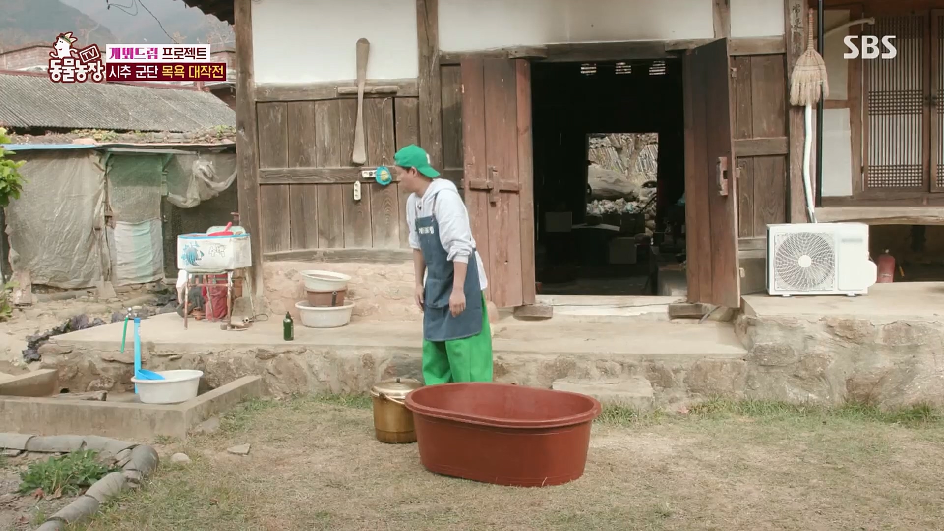 TV 동물농장.E1103.230108p.H264-F1RST.mp4_20230108_174646.759.jpg