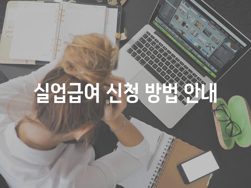 실업급여 신청 방법 안내