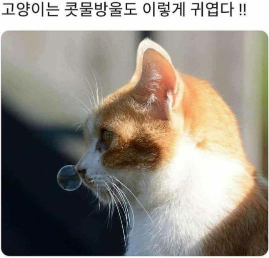  너무 추워서 고영희 콧물방울이 얼어버림