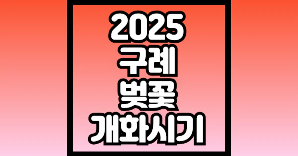 2025-구례-벚꽃-개화시기