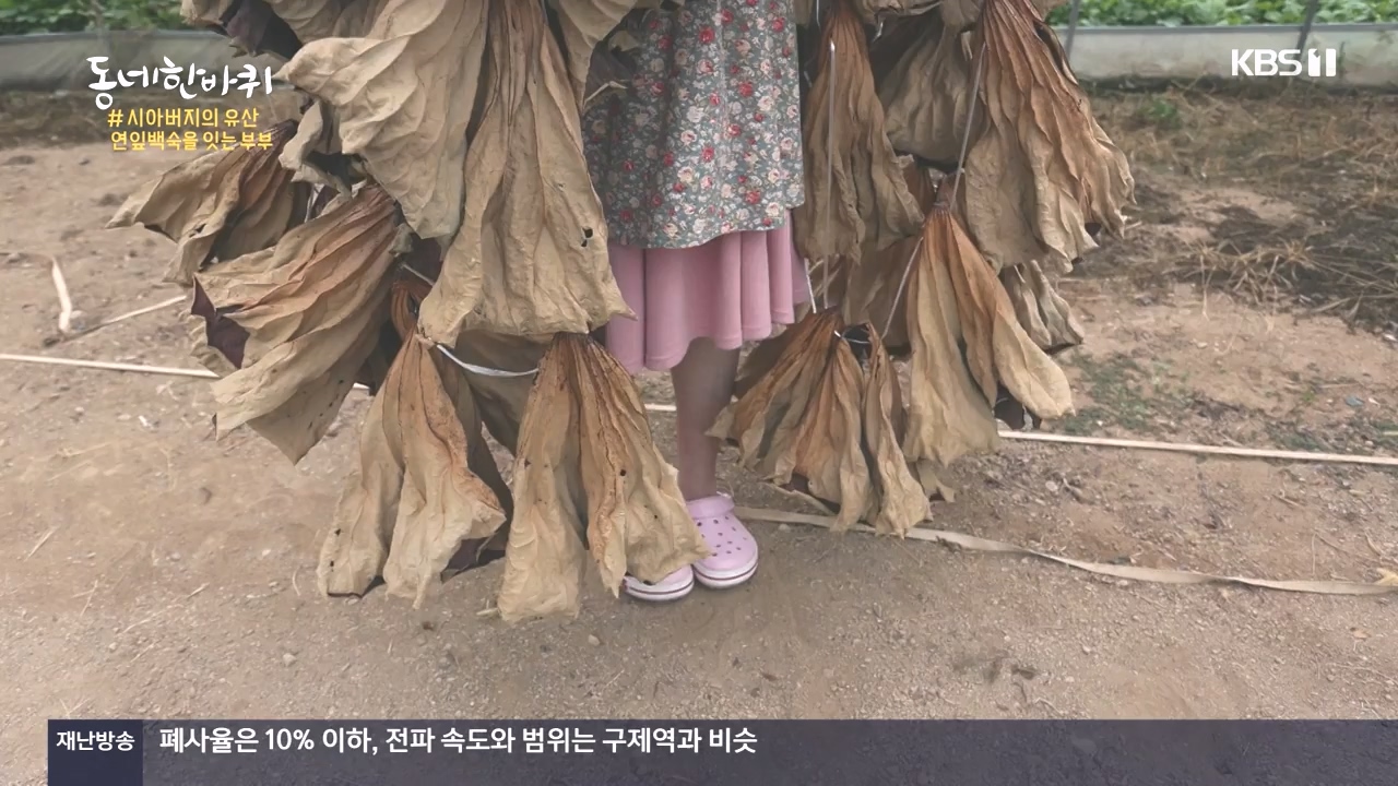 동네 한 바퀴.E244.231022p-NEXT.mp4_20231022_164242.546.jpg