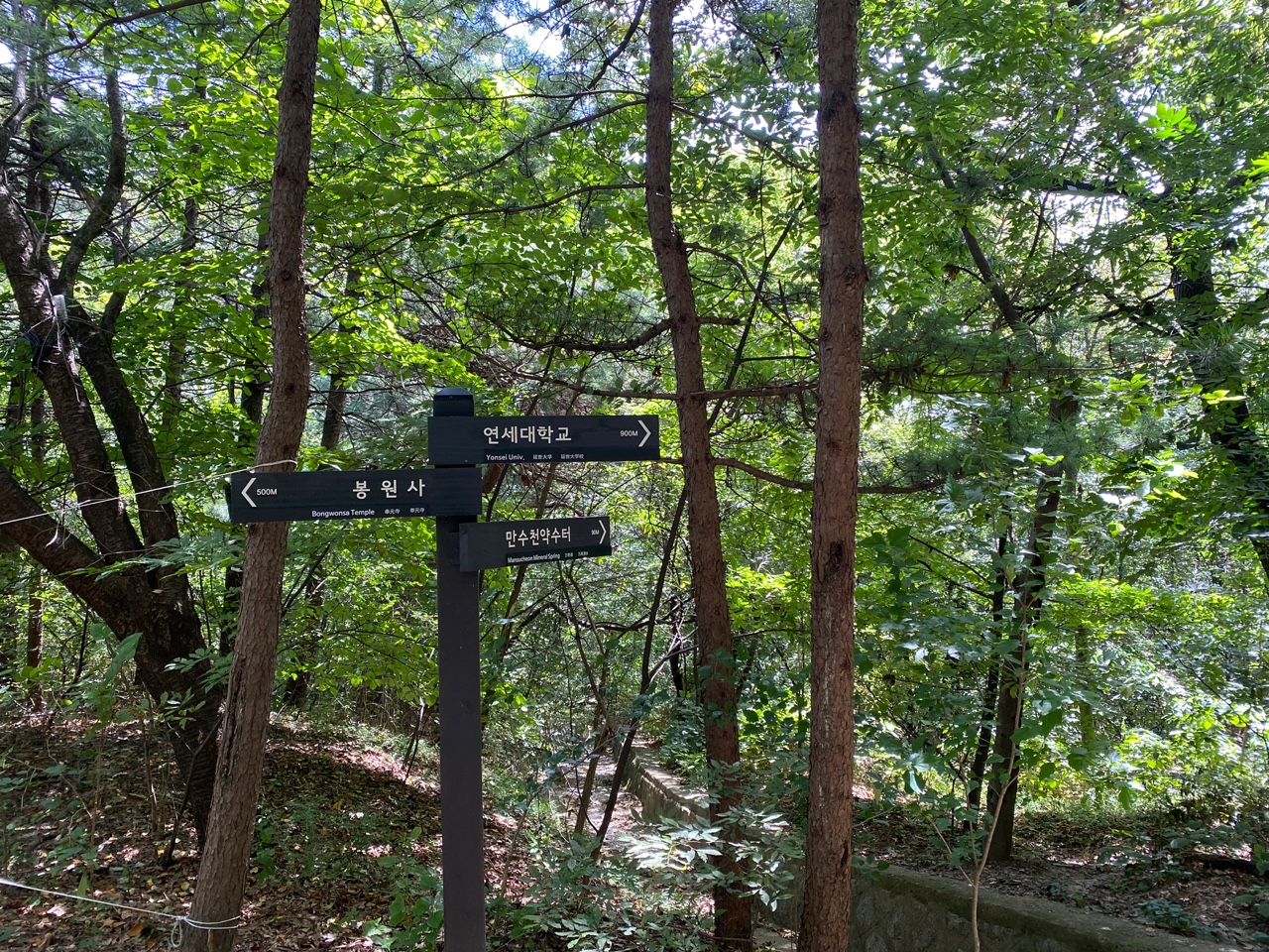 서울 안산 연세대학교 등산