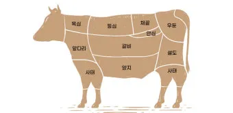 소고기 부위 가장 부드러운 순서대로 10선_9