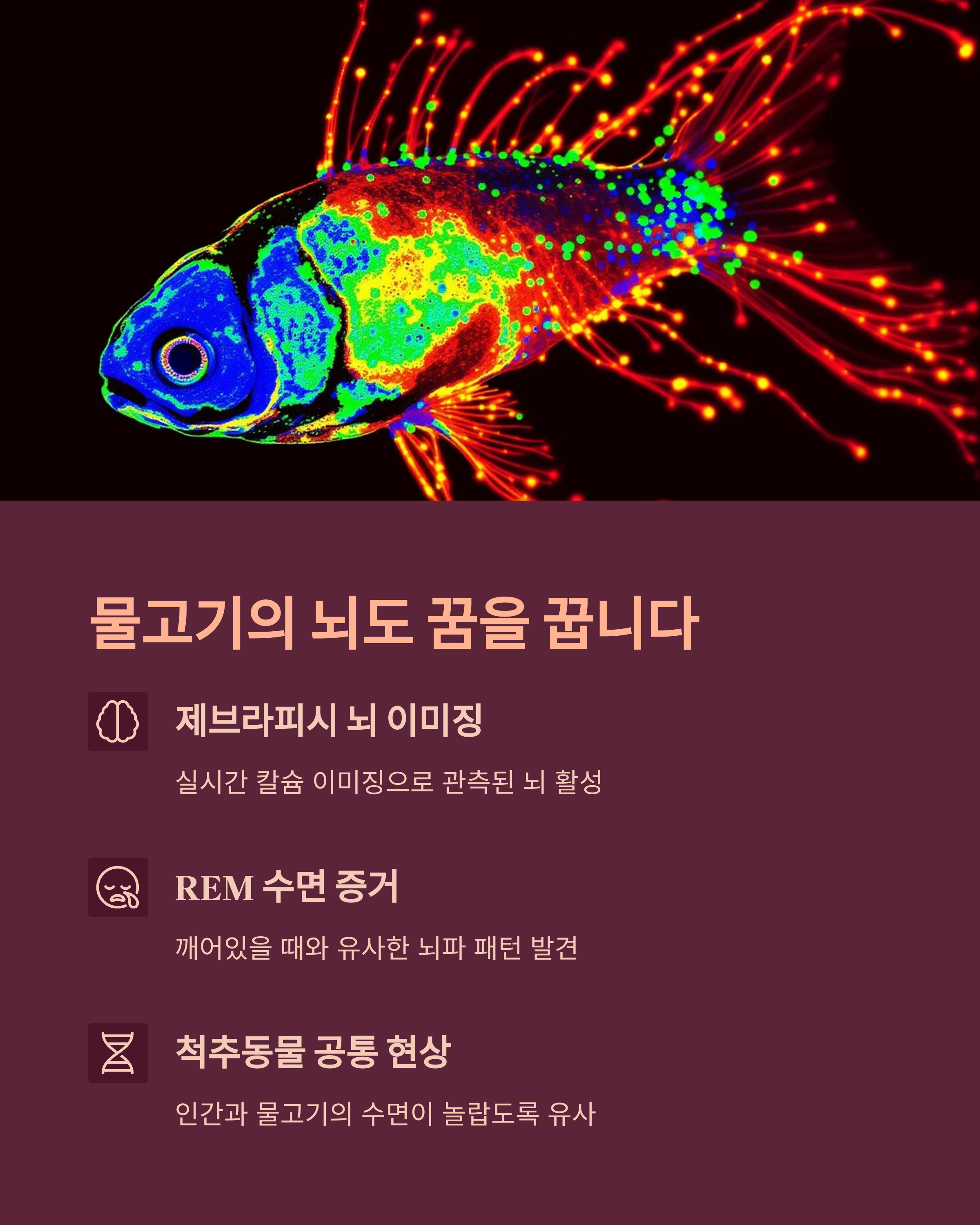 물고기의 정서적 변화를 다룬 그래프 또는 데이터 시각화