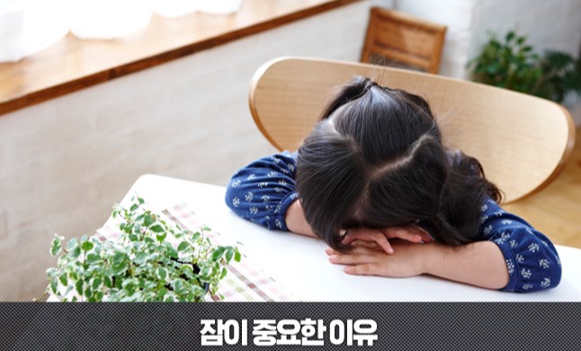  수명 늘리다. 좋은 수면습관