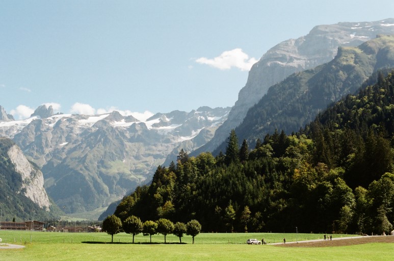 가을의 겨울 말고, 가을에 6