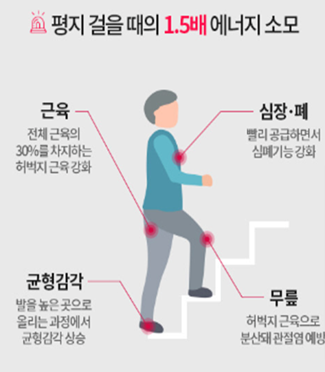 계단 오르기 운동효과 및 방법