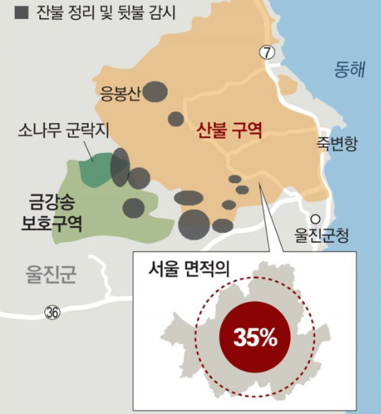 경북 의성 안동 산불 재난지원금 피해보상금 신청방법 총정리 최신