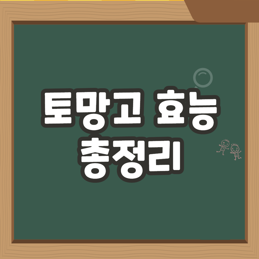  토망고 효능 및 칼로리, 부작용 등 총정리 [스테비아 토마토]