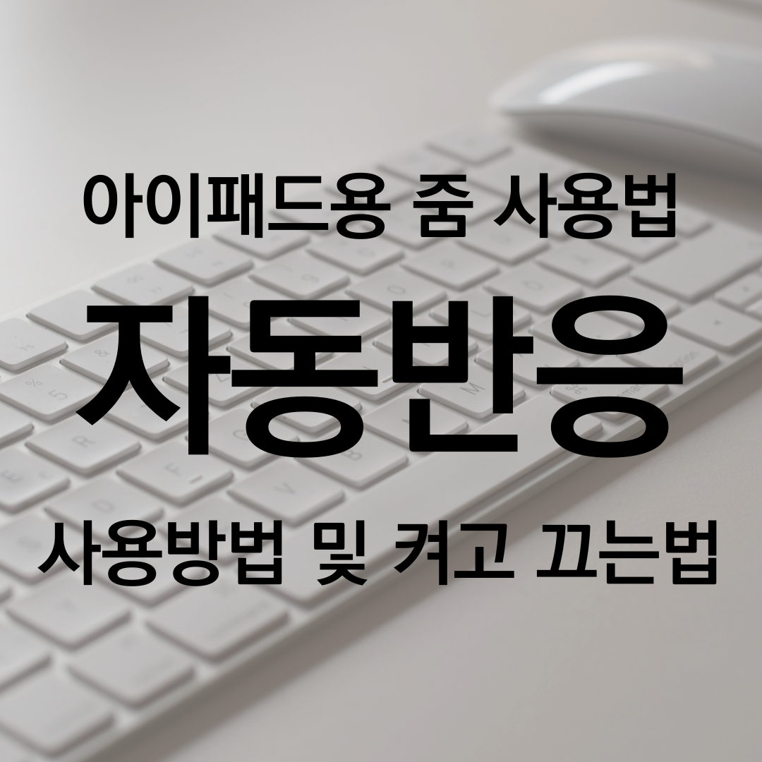  ZOOM 아이패드 자동반응 사용법 & 켜고 끄는 방법