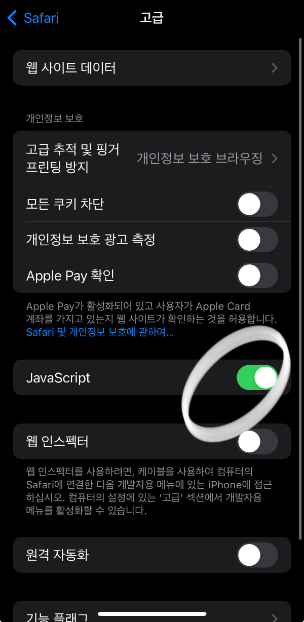 아이폰-사파리-설정-고급-자바스크립트-체크-활성화