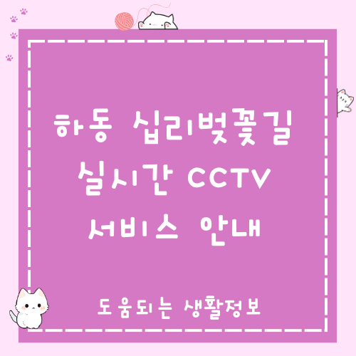 하동벚꽃CCTV