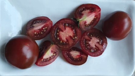 안토시아닌 풍부한 흑토마토