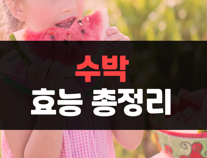  수박 효능 7월 제철과일 수박 성분(시트룰린, 리코펜 등)