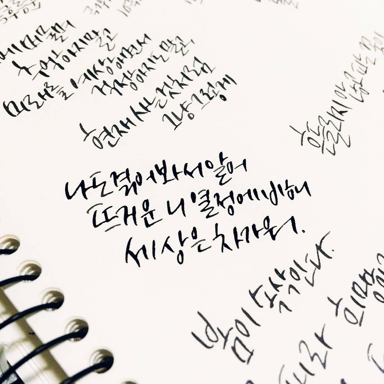 한글 맞춤법 검사기