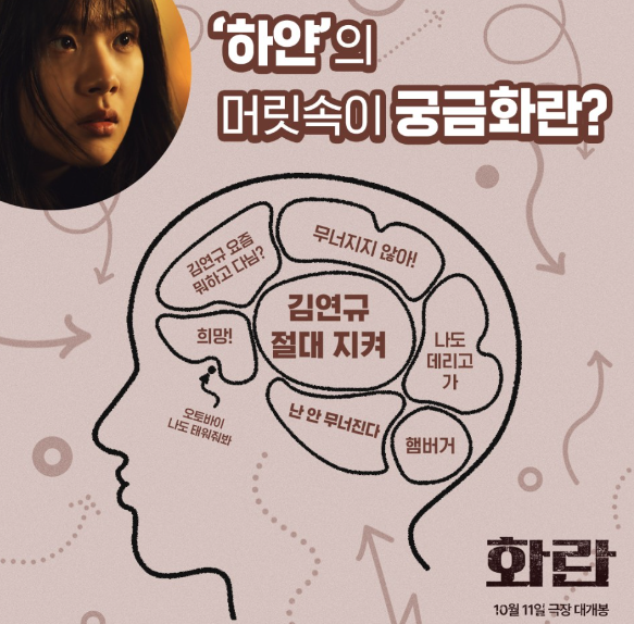 하얀머리