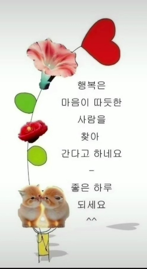 명품전 이미지