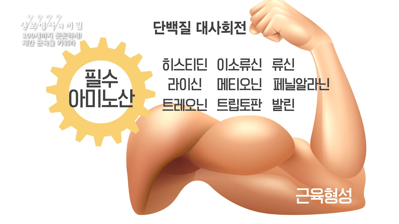 생로병사의 비밀.E885.231012p-NEXT.mp4_20231012_203001.914.jpg