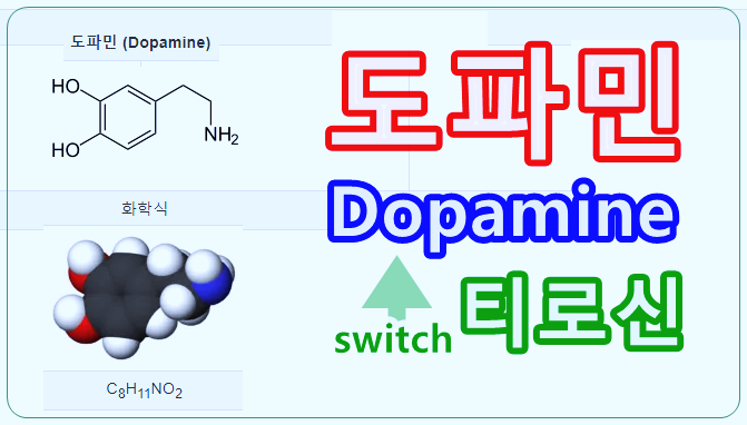도파민(Dopamine)