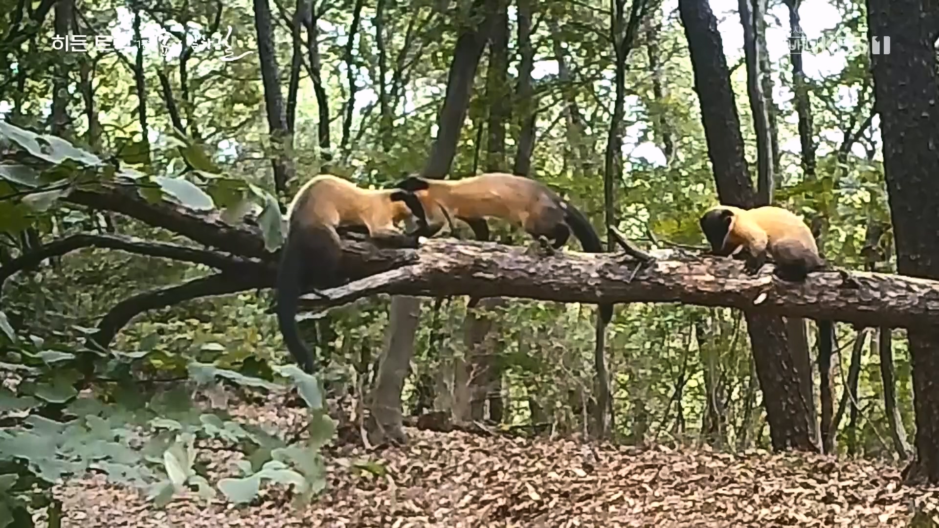 다큐 인사이트.E176.231214p.H264-F1RST.mp4_20231215_205445.029.jpg