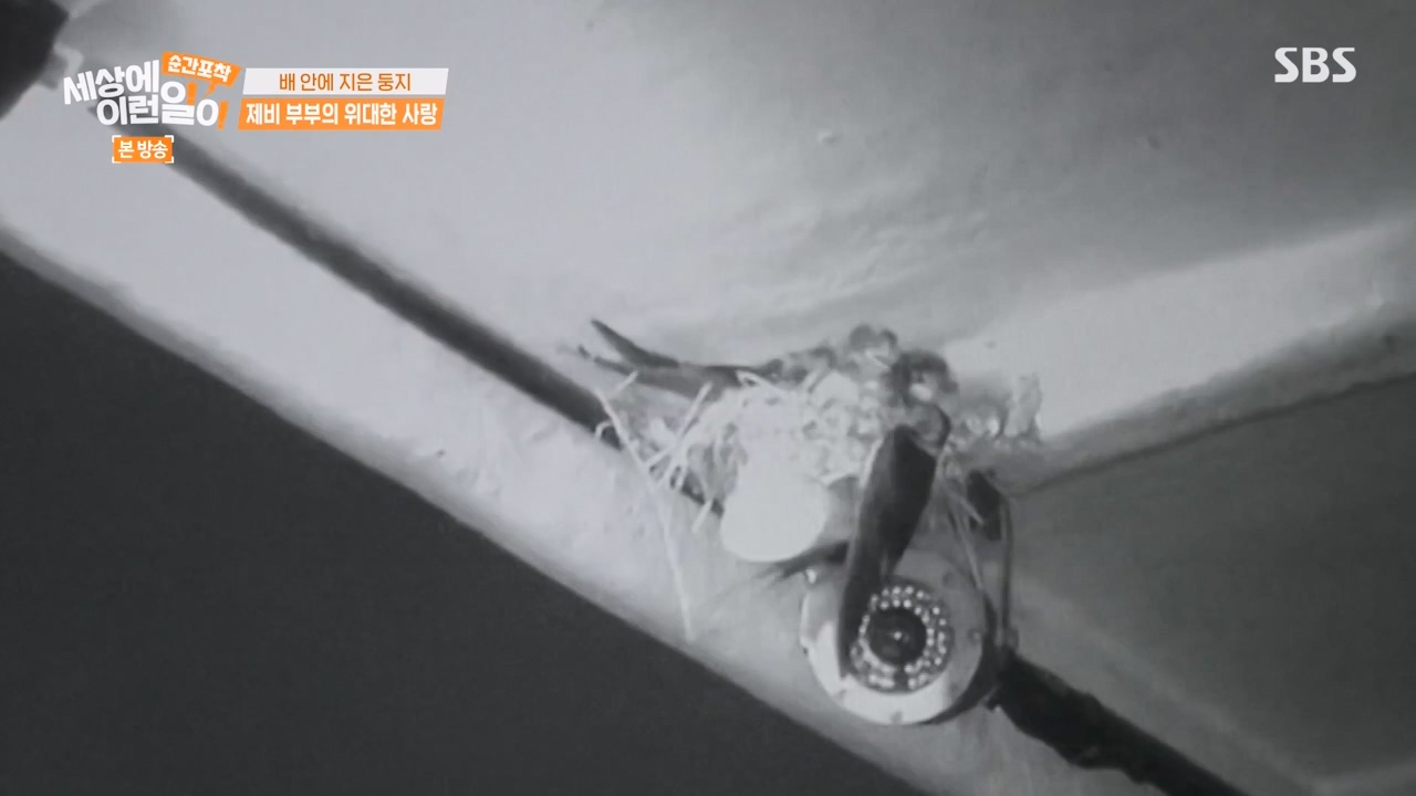 순간포착 세상에 이런일이.E1238.230723p-NEXT.mp4_20230724_205449.774.jpg