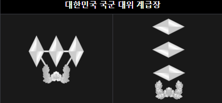 육군 대위