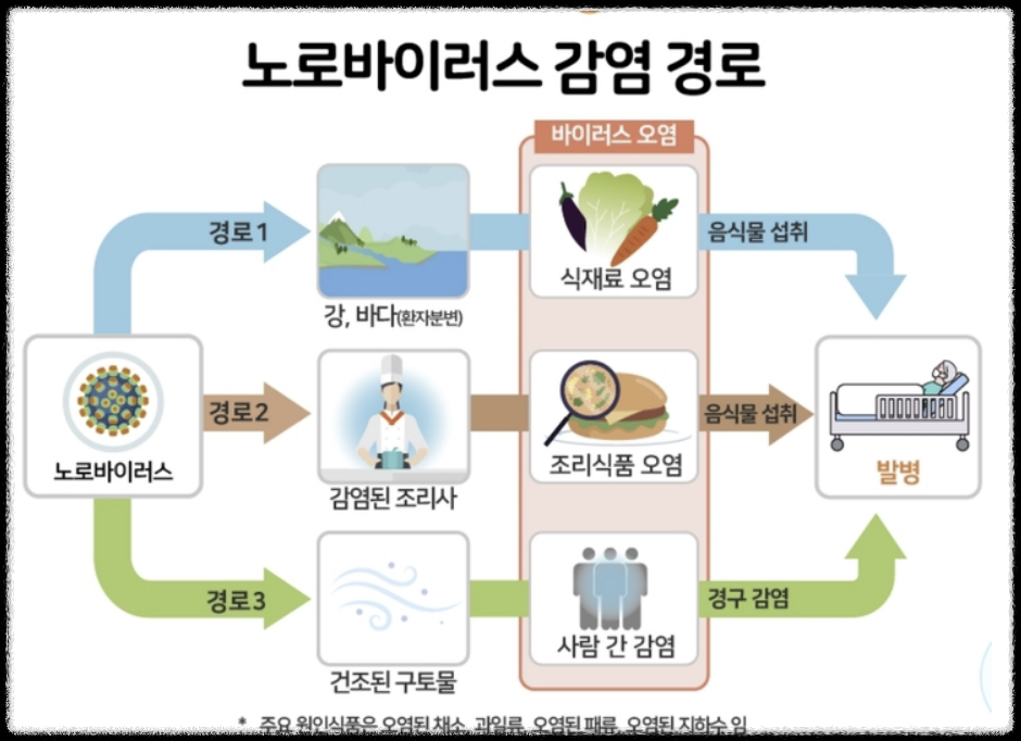 노로바이러스 감염경로2