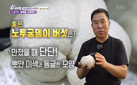 [7612회] 6시 내고향 - KBS7612회] 6시 내고향.ts_20220912_172729.751.jpg