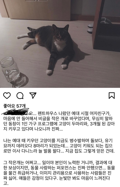  로건리 박은석 '나 혼자 산다' 출연 위해 '몰리' 입양했나?