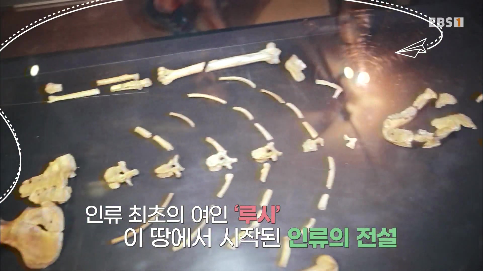 세계테마기행 240116 나는 전설이다 에티오피아 -골목의 전설, 하라르0p.mp4_20240713_172308.215.jpg