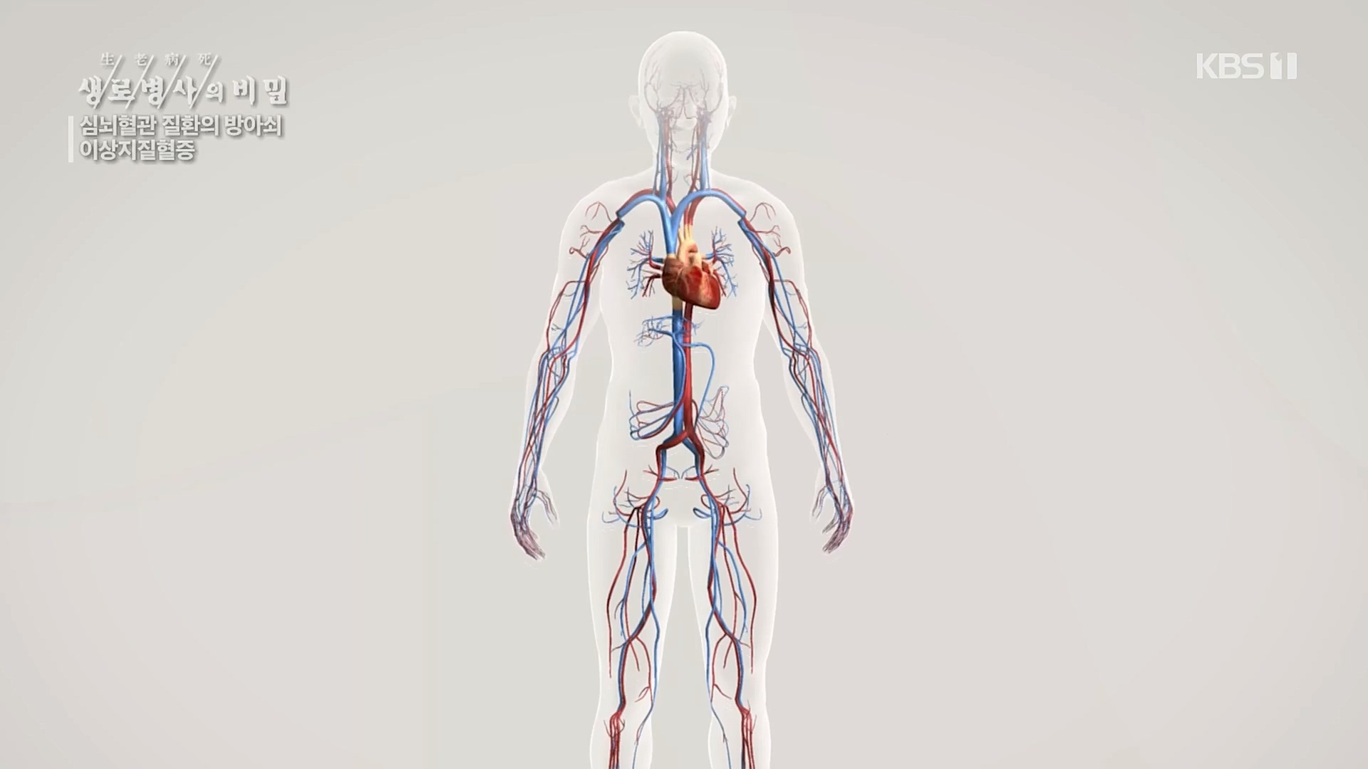 생로병사의 비밀.E862.230329p.H264-F1RST.mp4_20230330_203220.501.jpg