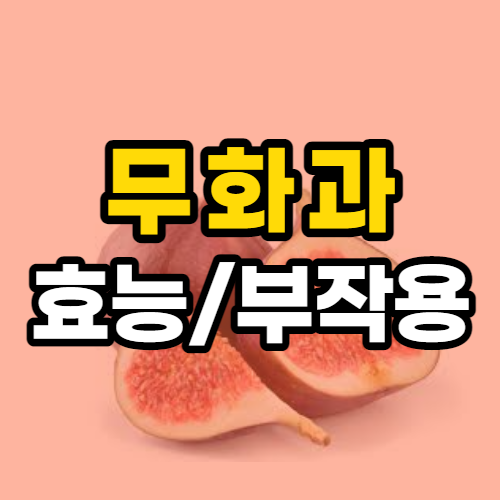  무화과 효능 10가지 및 부작용