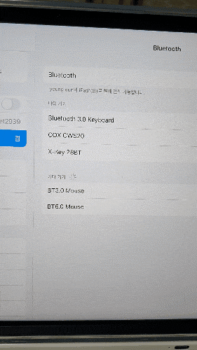 블루투스 마우스 추천♡라인프렌즈 코니 블루투스마우스♡ 13