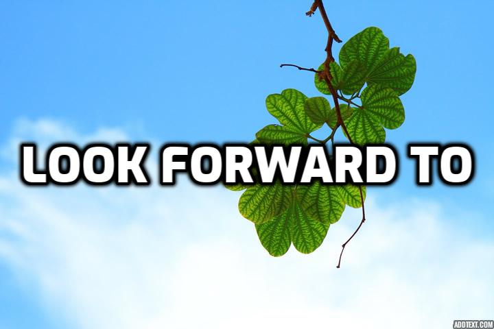  영어로 ~기대하고 있어요 I’m looking forward to… 영어회화 패턴