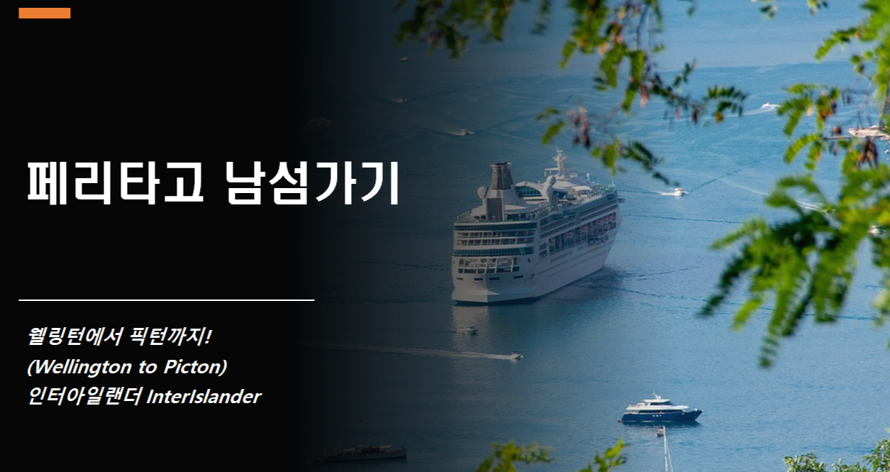  뉴질랜드 북섬에서 남섬으로(웰링턴-픽턴) 페리타고 이동. 차끌고 배타기