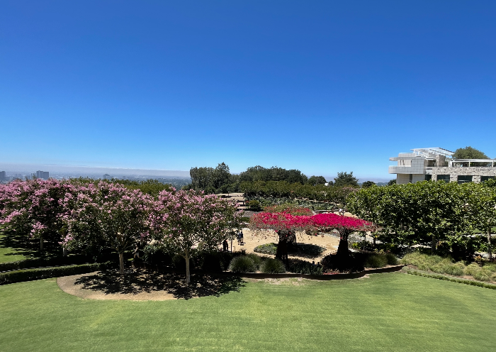 게티 센터의 정원. 왼쪽으로는 연핑크 색의 꽃이 핀 나무&amp;#44; 오른족으로는 진핑크 색의 꽃이 핀 나무가 있다. 나무들 앞쪽으로 관리가 잘 된 잔디밭이 있다. 