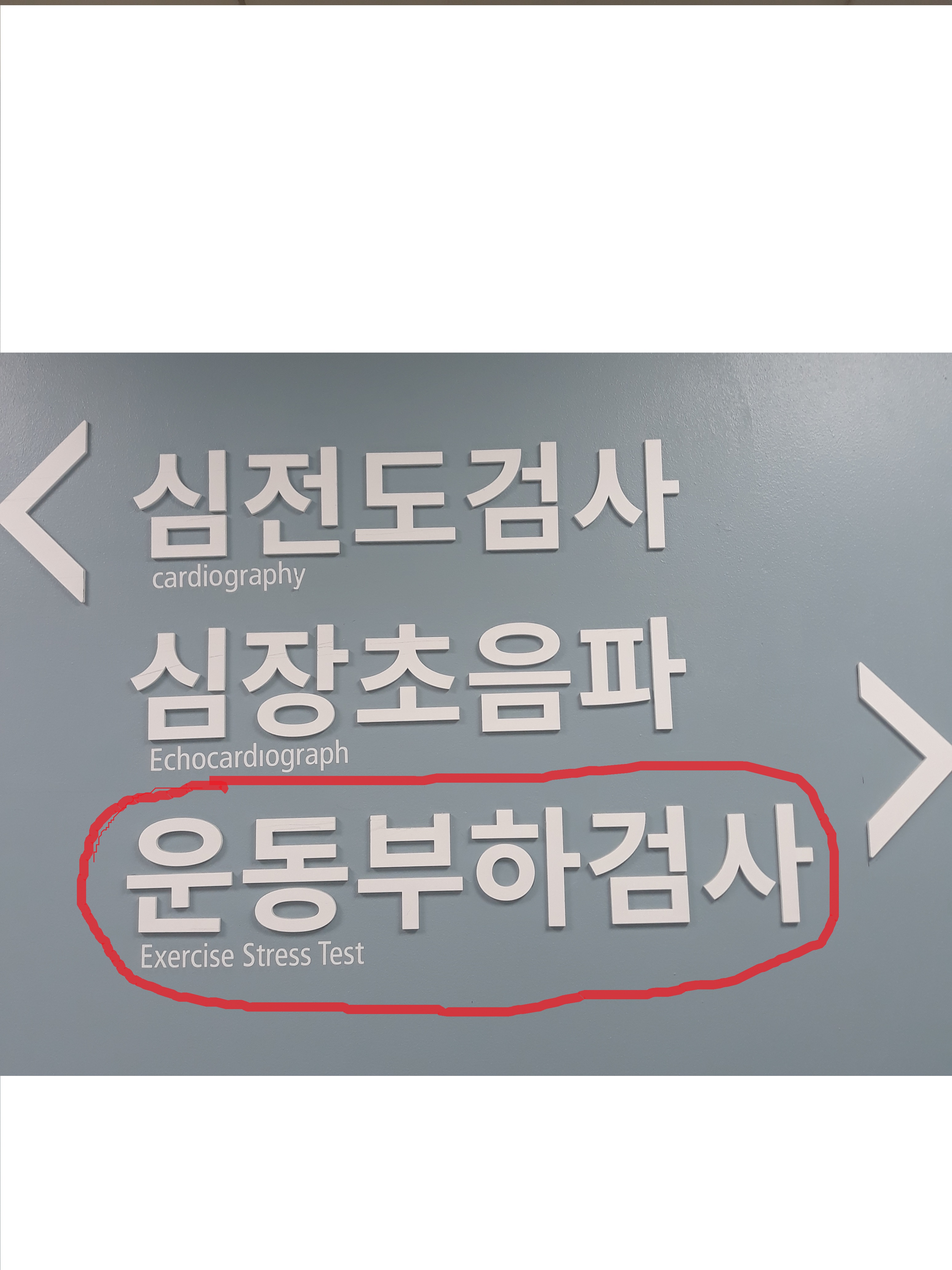 운동부하검사