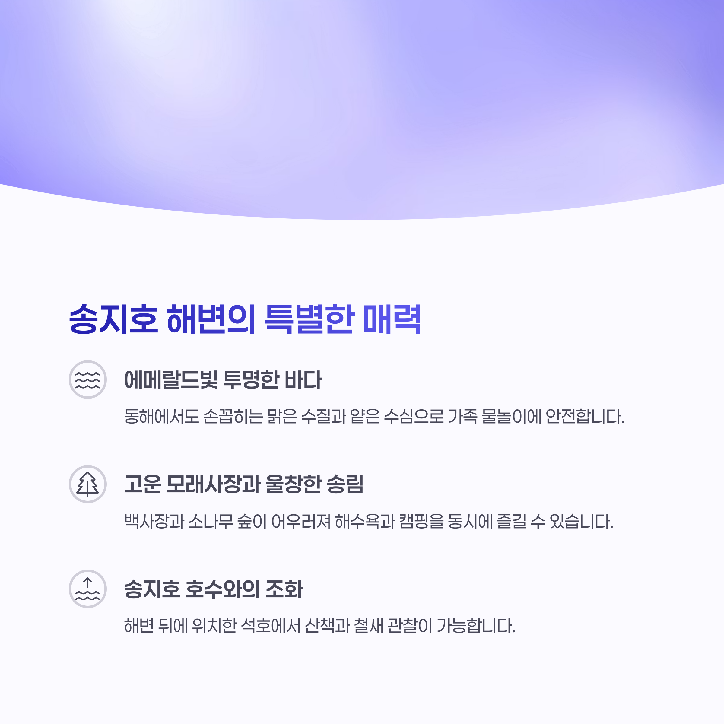 강릉 대신 고성 송지호 해변! 바다와 호수를 동시에 즐기는 완벽 힐링 여행