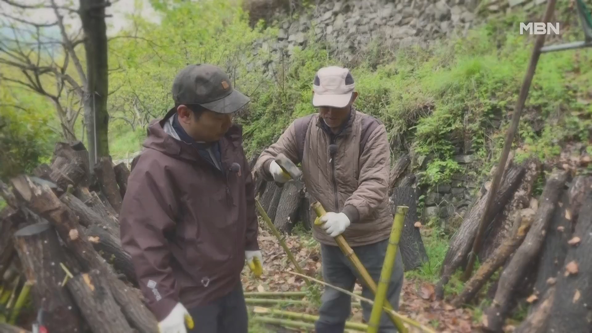 나는 자연인이다.E552.230503p.H264-F1RST.mp4_20230504_200331.872.jpg