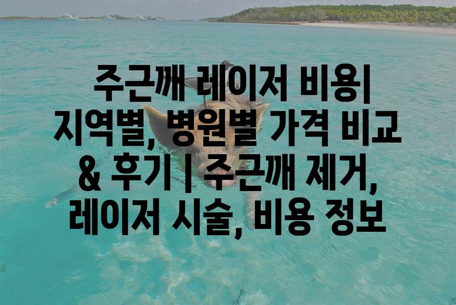 샘플 (1)
