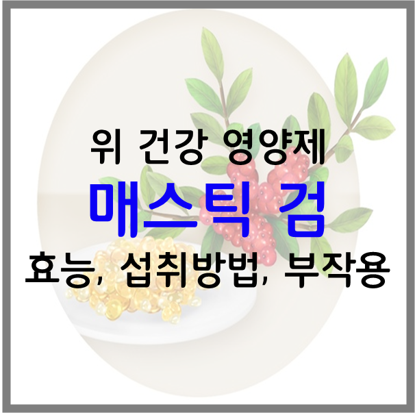 위 건강 영양제 매스틱 검의 효능, 복용법(섭취방법), 섭취량, 부작용 총 정리