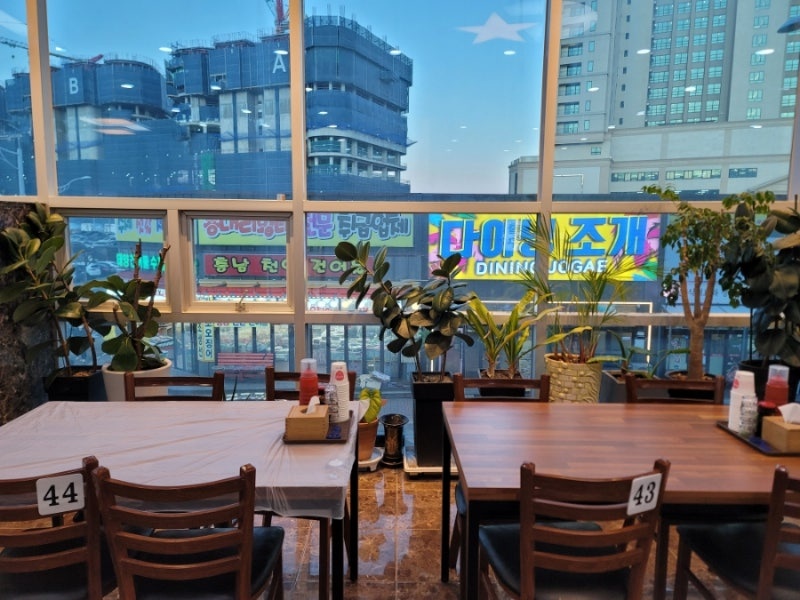 속초 대포항 대게 맛집 대포항 명가횟집