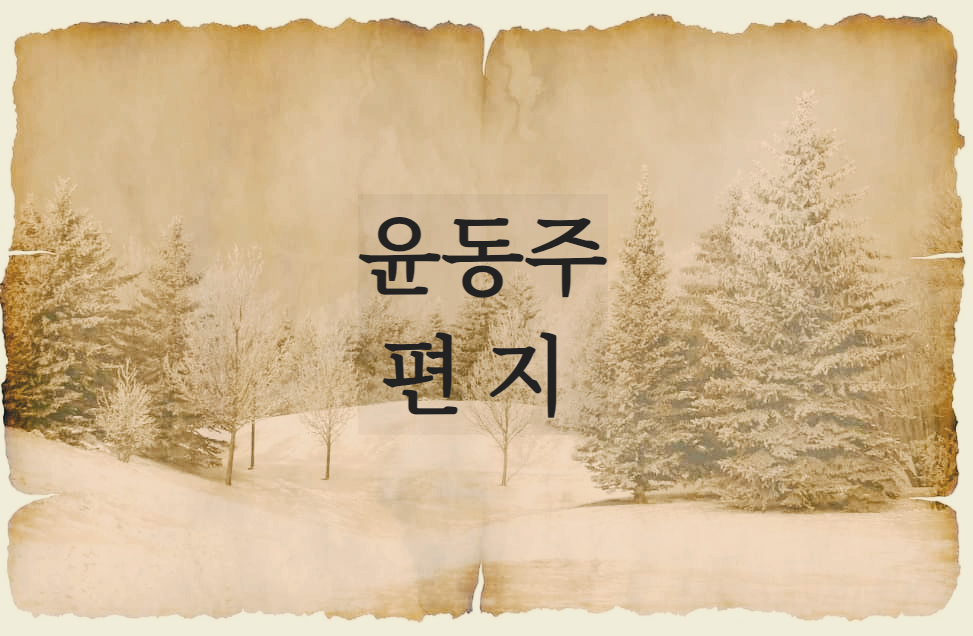  [시 감상]윤동주 - 편지