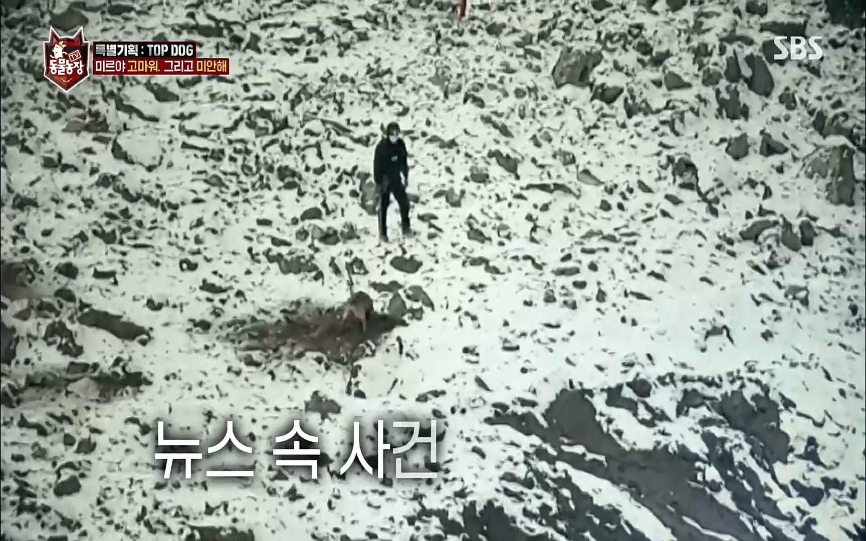 TV 동물농장.E1086.220911p.H264-F1RST.mp4_20220911_175425.677.jpg