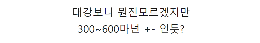 올해 결혼한 사람이 말하는 리얼 물가 ㄷㄷ 24
