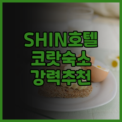 SHIN Hotel V-ONE Kor