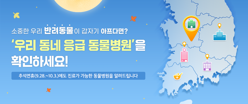  설날 추석에 반려 동물이 아플때, 명절연휴 600곳의 동물병원 운영 현황 확인방법