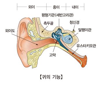 이석증 증상