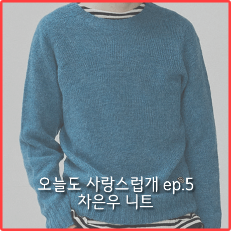 오늘도 사랑스럽개 5회 차은우 니트